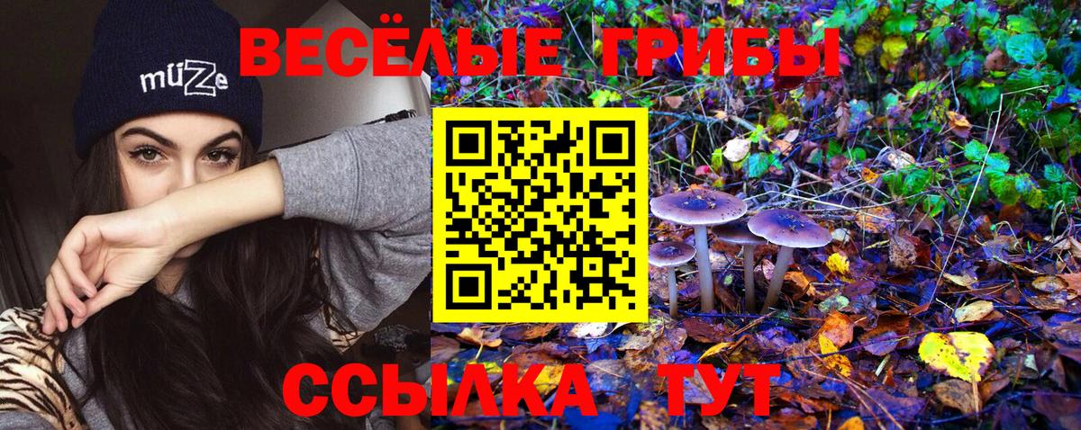Псилоцибиновые грибы Psilocybe Бузулук