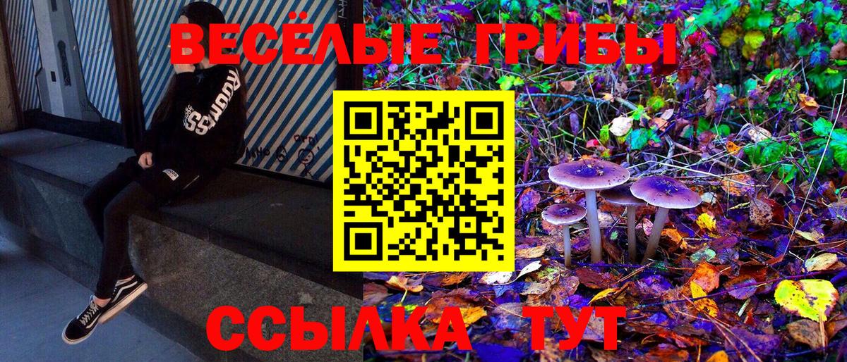 Бузулук  Псилоцибиновые грибы Psilocybine cubensis  Вход с VPN 